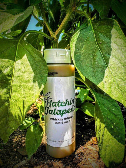 This Hot Sauce Is... Hatchin' Jalapeño